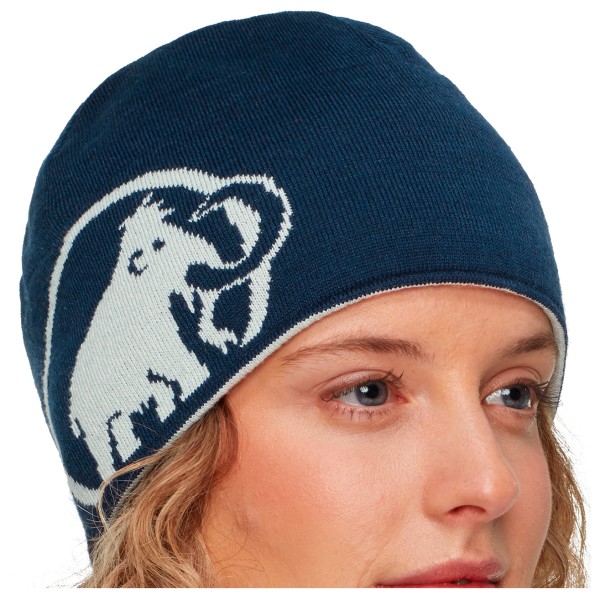 

Шапочка с логотипом Mammut Mammut, мультиколор