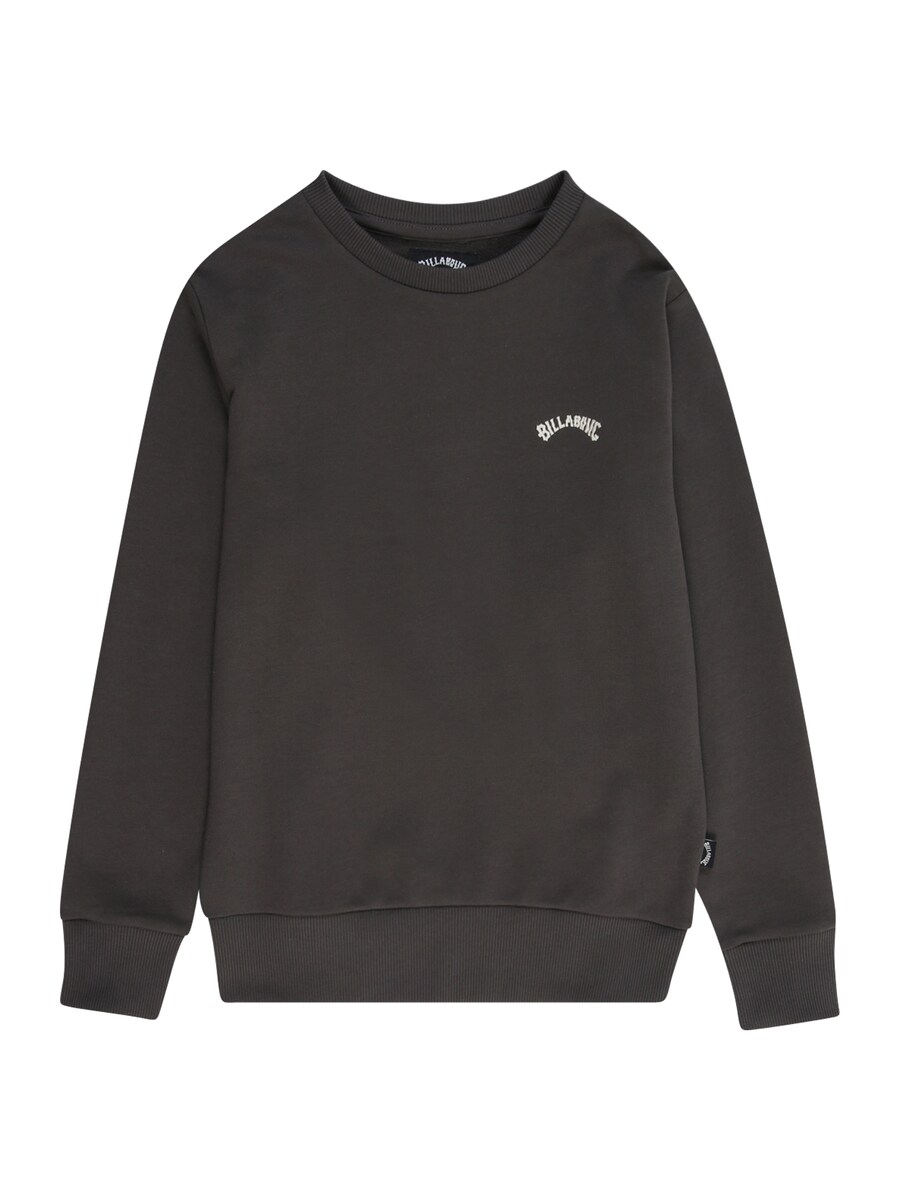 

Спортивная толстовка BILLABONG ARCH, черный