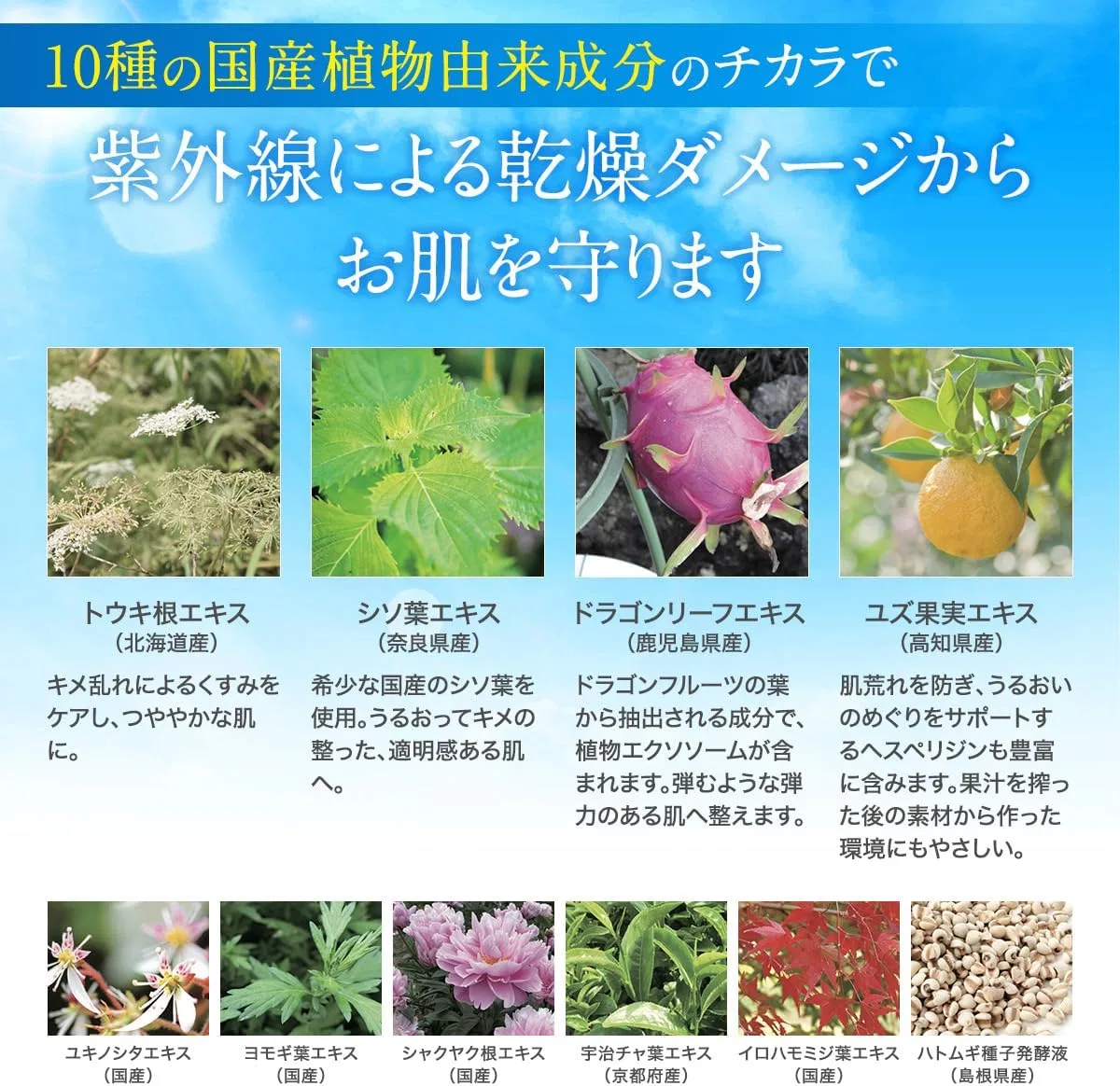 Солнцезащитный крем FTC Natural UV Cream SPF50+ PA++++, 30 г — фото 2