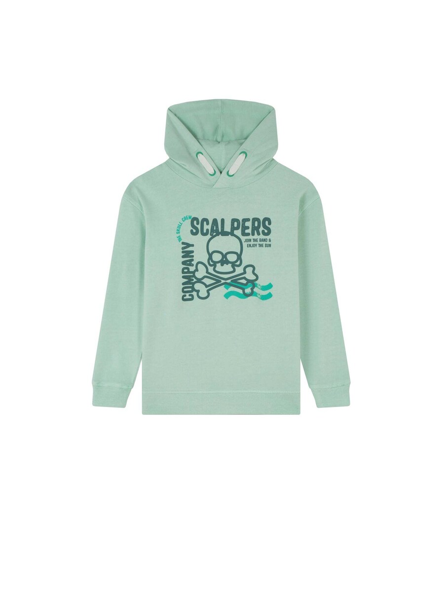 

Толстовка Scalpers Stroke, цвет Light green/Dark green