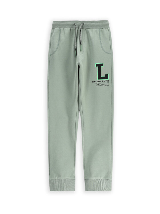 

Спортивные брюки обычного кроя WC5122701VBB Coccodrillo, зеленый