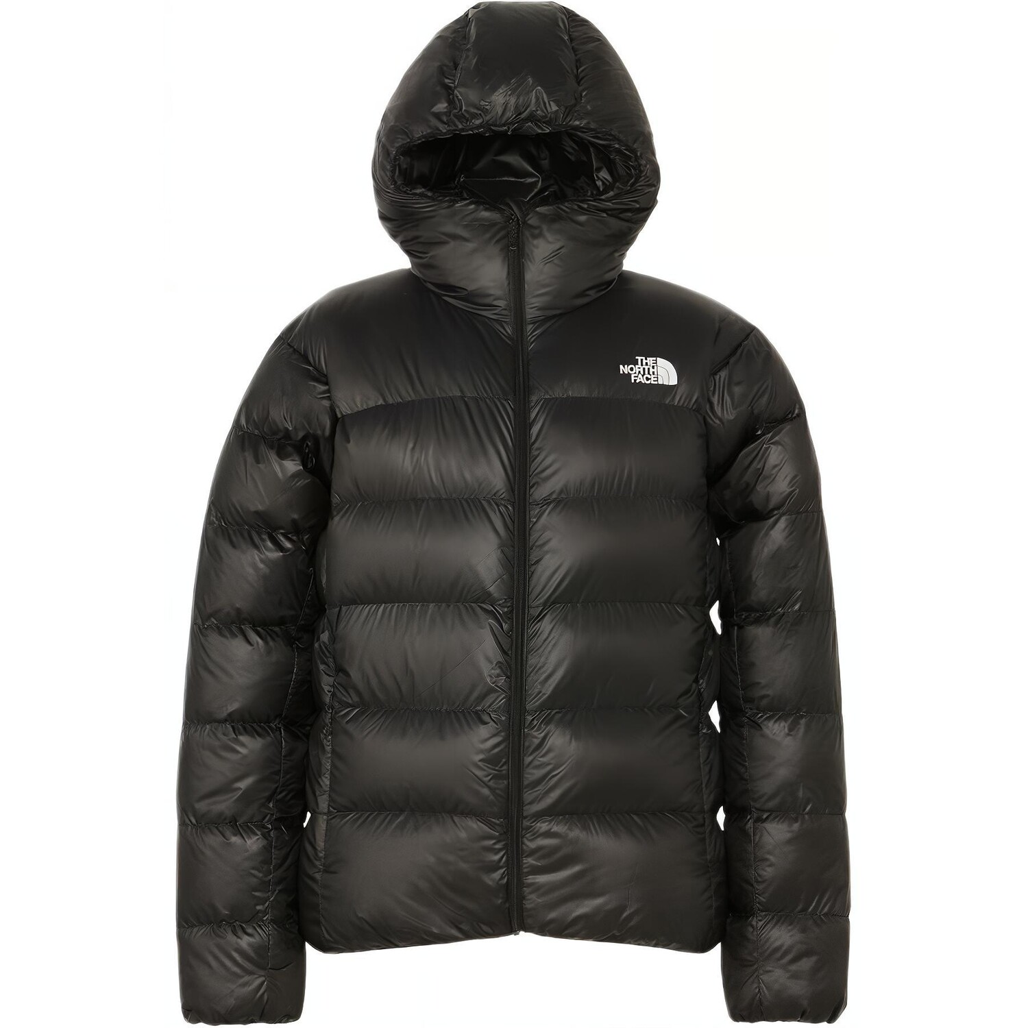 

Коллекция одежды Куртка мужская черная The North Face, черный