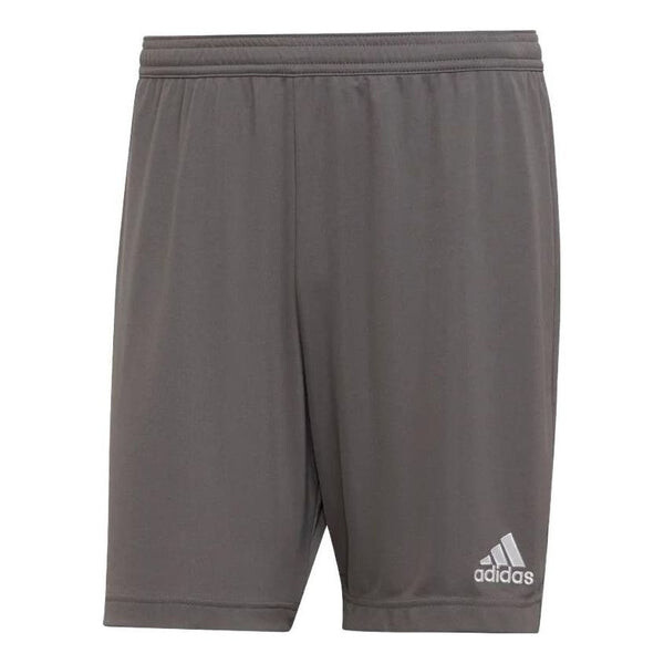 

Шорты въезд 22 шорты Adidas, серый