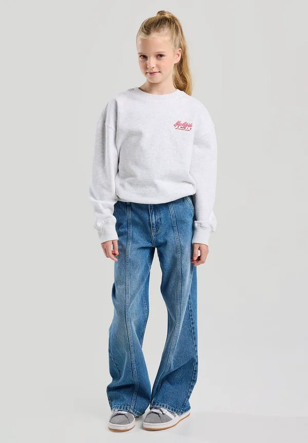 Толстовка скарлетт America Today, Light Grey Melange