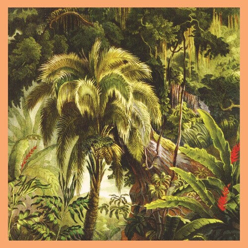 

Виниловая пластинка Xiu Xiu: La Foret