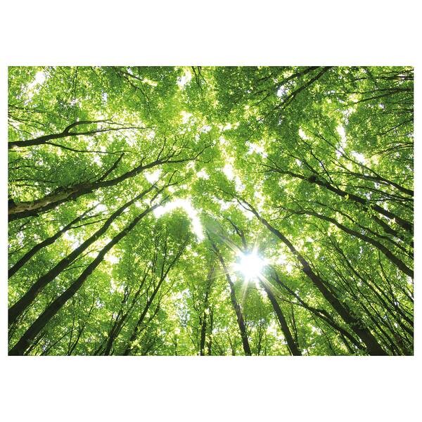 

Картина на холсте A.S. Création Treetops Forest, зеленый