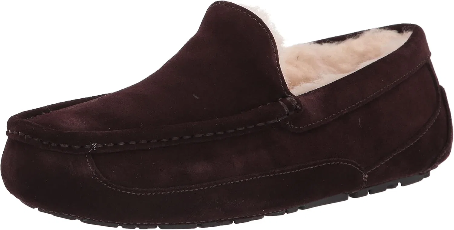 Тапочки мужские Ascot, UGG, эспрессо
