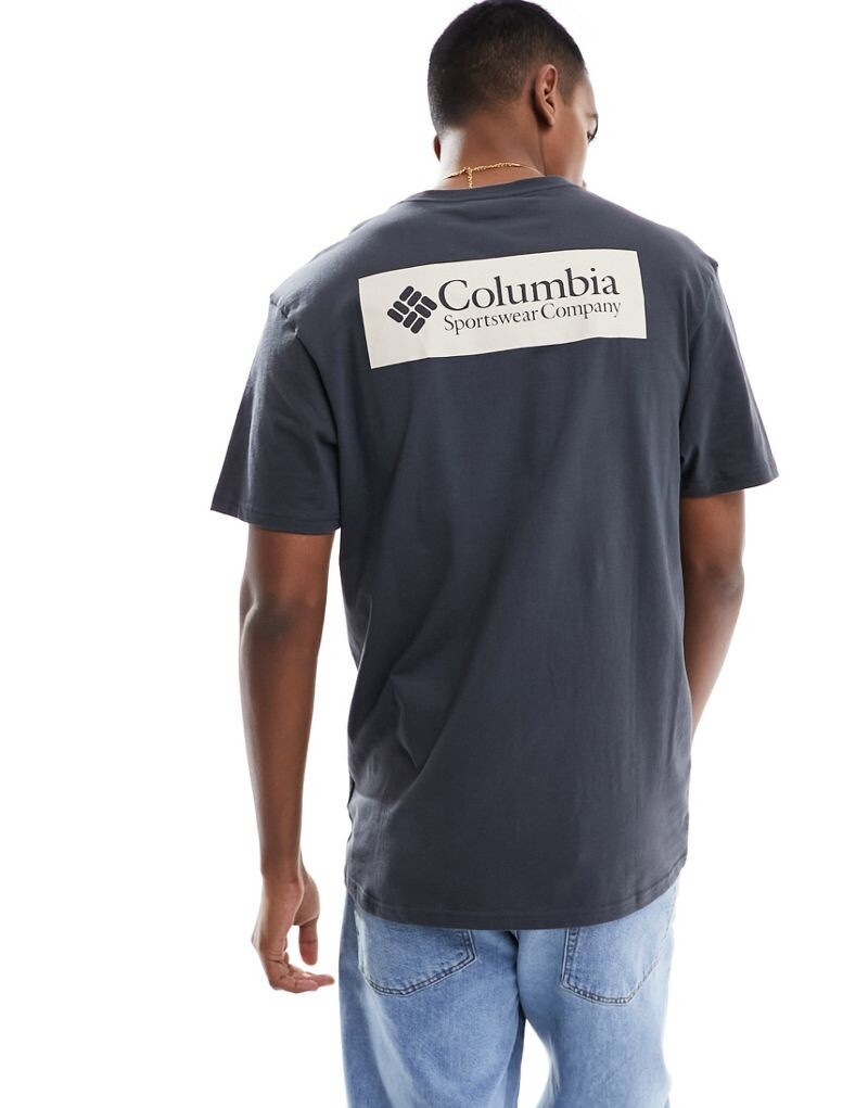 

Columbia North – черная футболка с каскадным принтом на спине