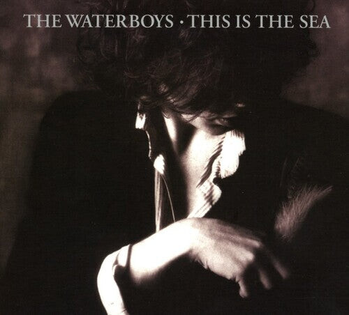 

CD диск Waterboys: This Is The Sea: Collectors Edition