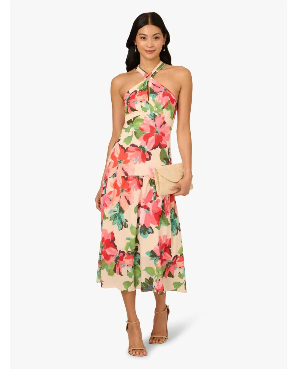 

Цветочное миди-платье с запахом на шее Adrianna Papell, многоцветный