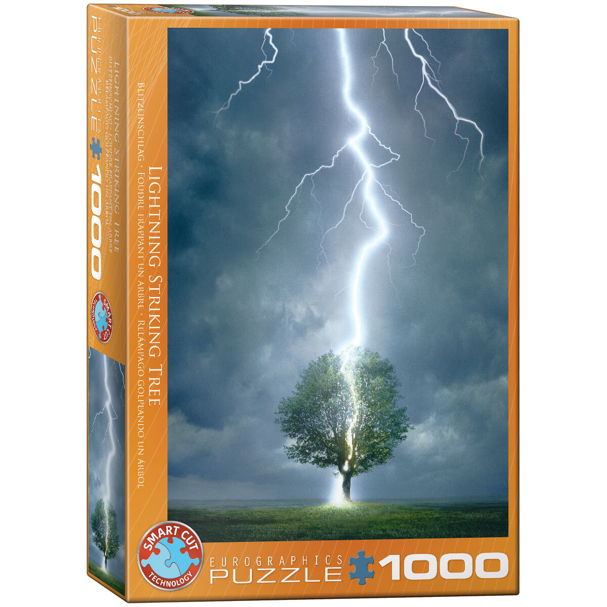 

EuroGraphics, пазл, Пиорун, 1000 шт.