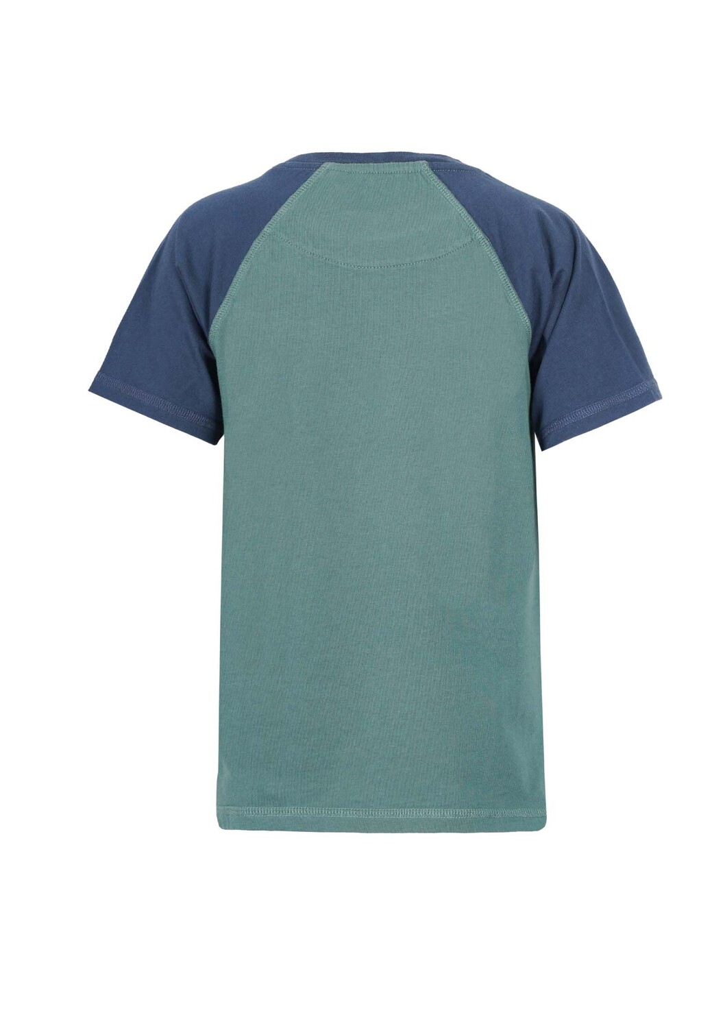 Футболка Band of Rascals Raglan, цвет sage blue — фото 3