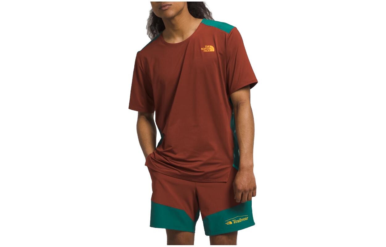 

THE NORTH FACE Мужская футболка, цвет Brown