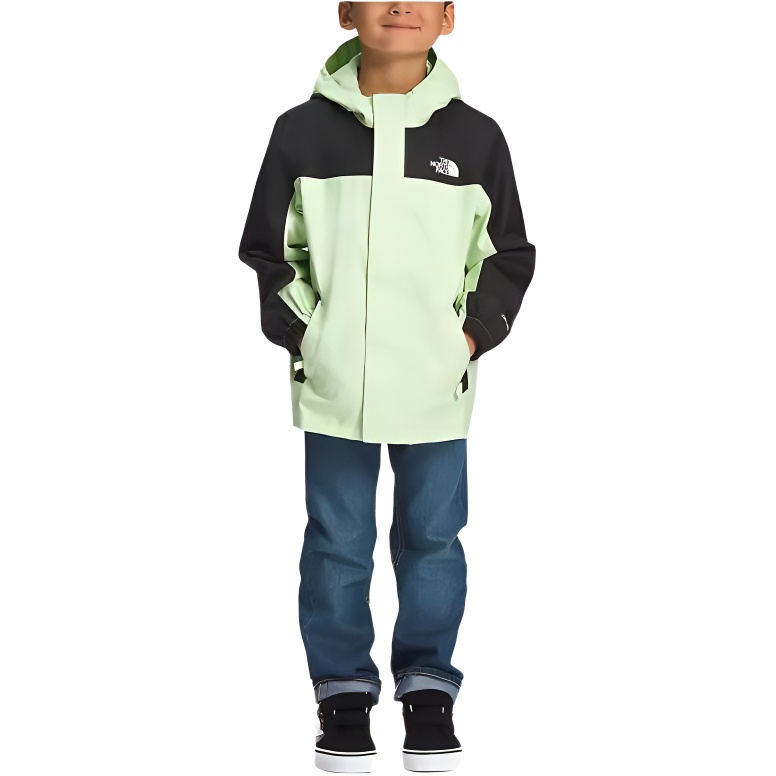 

Ветровка Зеленая Черная Детская THE NORTH FACE