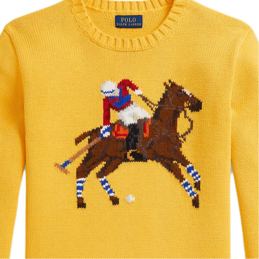 Свитер Racing Yellow для подростков Polo Ralph Lauren — фото 4