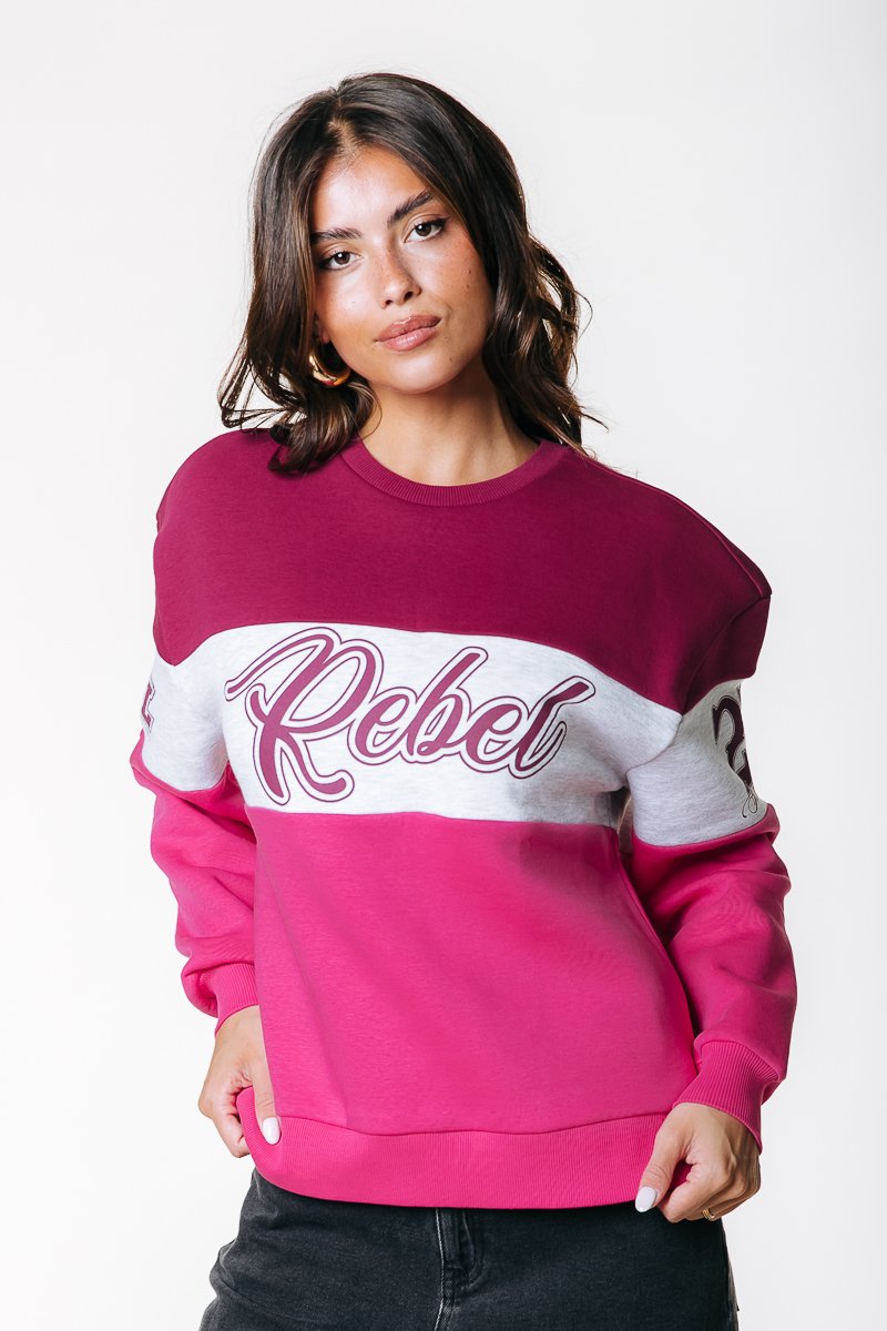 

Толстовка Colourful Rebel LOGO BOXY, Pink/Bordeaux/Pink