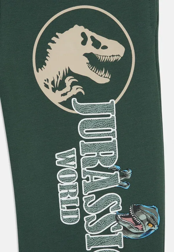 Спортивные штаны Nmmjaba jurassic nreg unb sky tracksuit bottoms Name It, садовый топиарий — фото 3