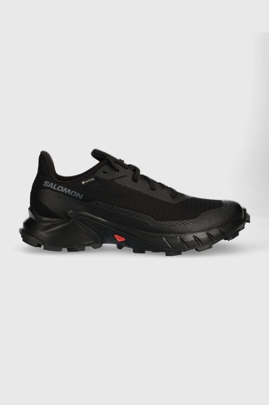 

Ботинки Alphacross 5 GTX Salomon, черный