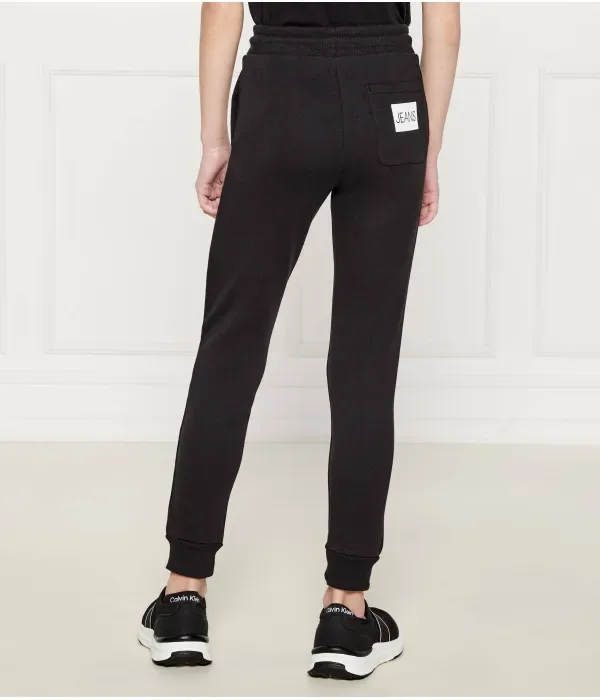 Спортивные штаны regular fit Calvin Klein Jeans, черный — фото 3