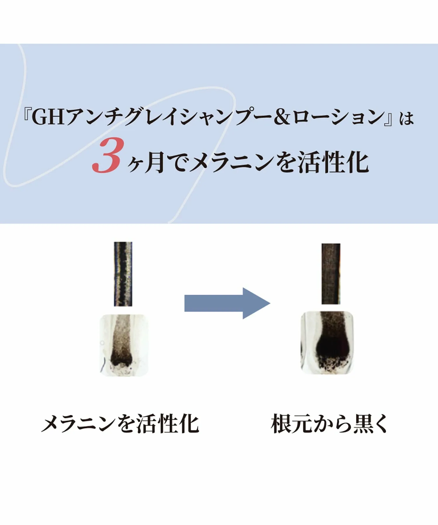 Красота и уход Набор GH Anti-Gray Perfect Set: шампунь + лосьон + маска для волос GH Anti-Gray. Эксклюзивно для салонов красоты. Elgon, others — фото 4