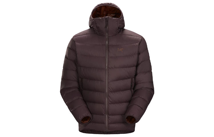 

Толстовка Arc'teryx Thorium Ar с капюшоном, цвет Wave Gray-Glitch