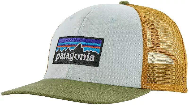 

Мужская кепка с логотипом Patagonia P-6 Trucker