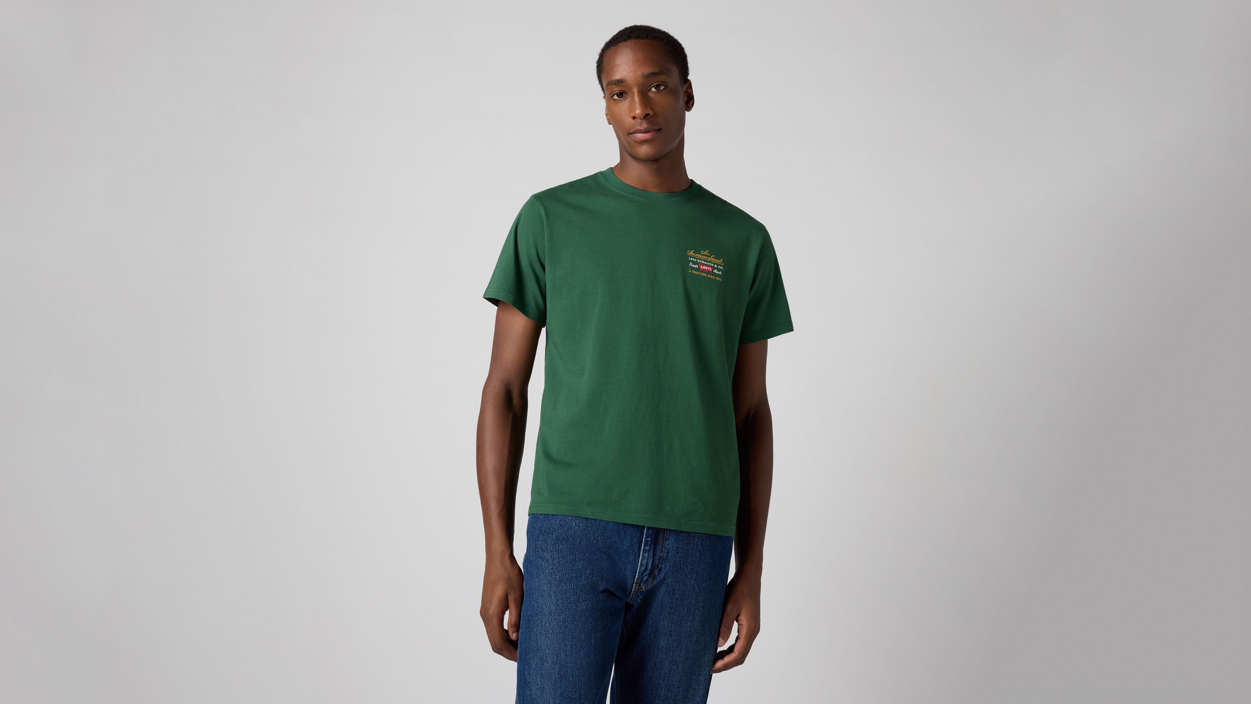 

Футболка свободного кроя с короткими рукавами и принтом Levi's, Archive Sport Prep Emb Dark Green - Green