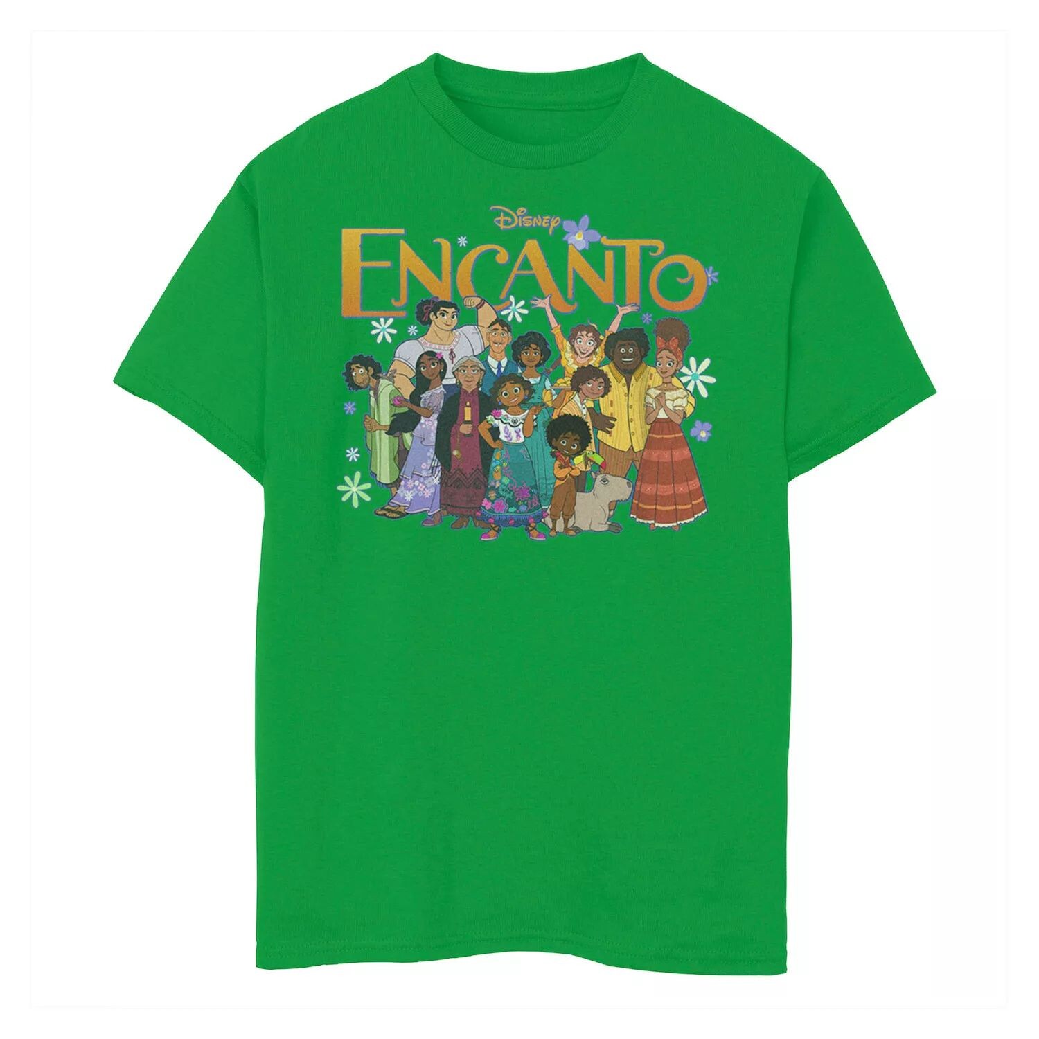

Футболка с рисунком Disney Encanto Family Group для мальчиков 8–20 лет Disney