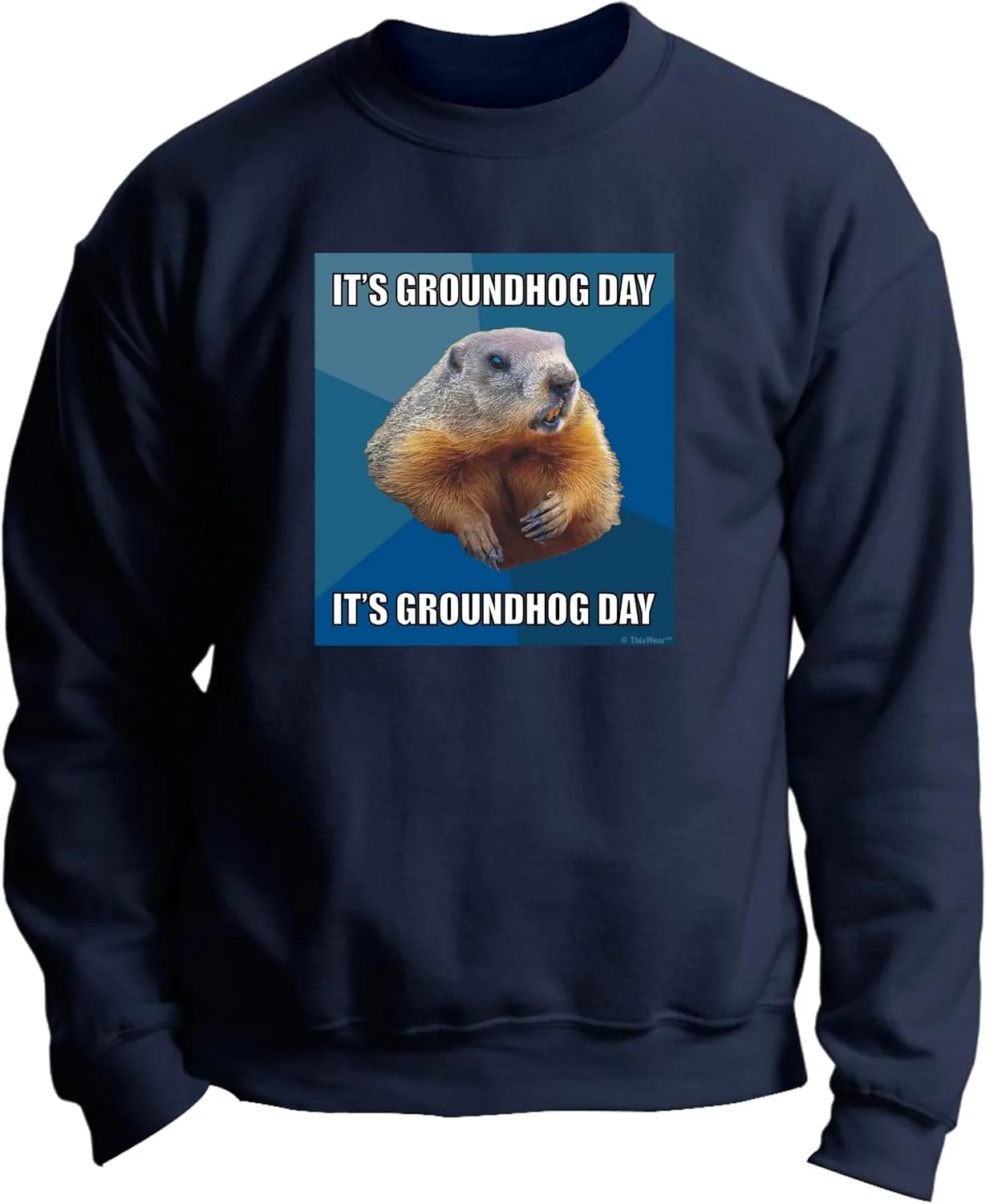 

ThisWear It's Groundhog Day Repeat лонгслив
