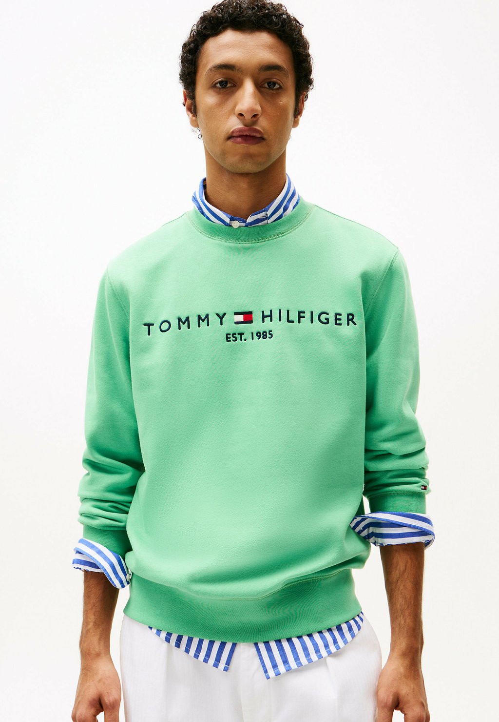 

Толстовка LOGO Tommy Hilfiger, зеленый