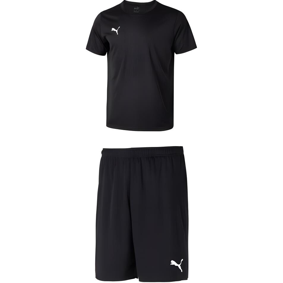 

Мужская повседневная спортивная одежда Puma, цвет Black and Black