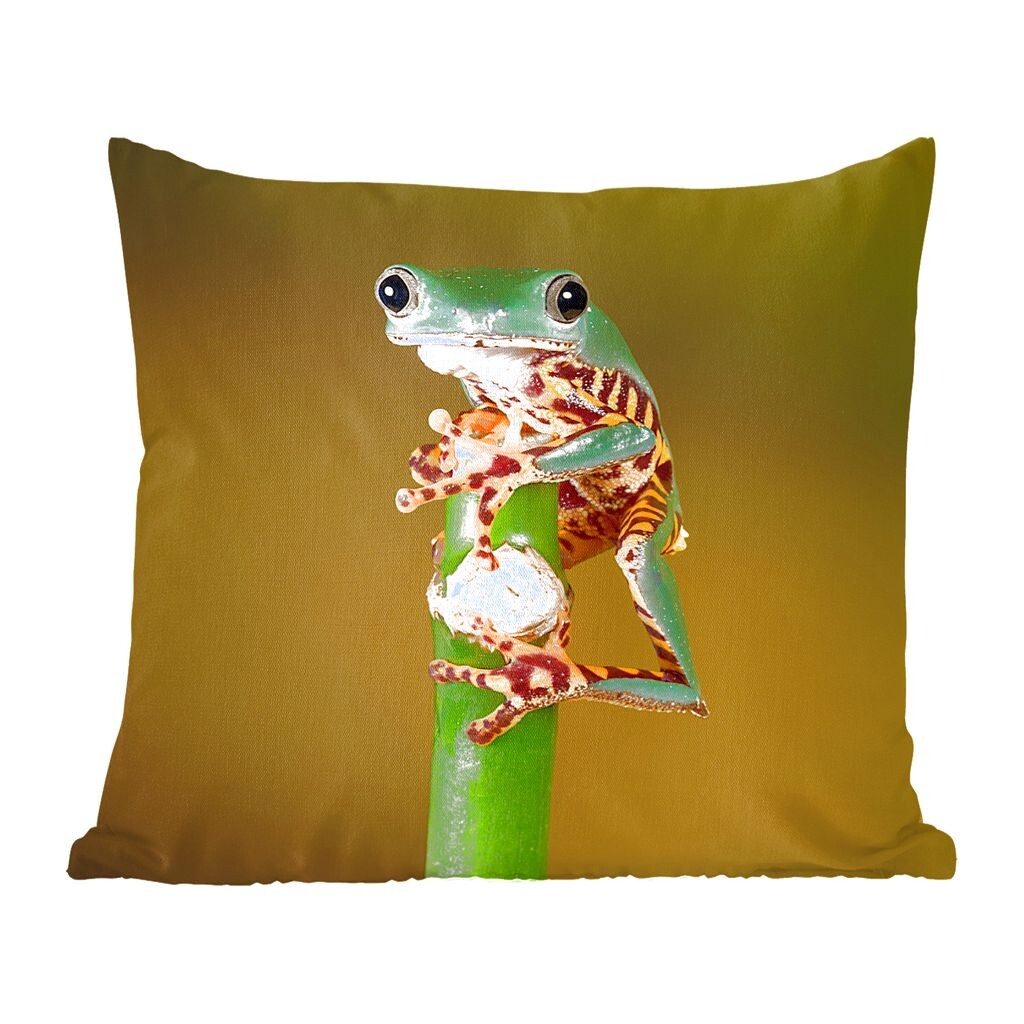 

Декоративная подушка MuchoWow, диванная подушка, декоративная подушка для гостиной, 60 х 60 см, лягушка на зеленом растении, крупный план - чехол на подушку - хлопчатобумажная ткань - декоративные наволочки