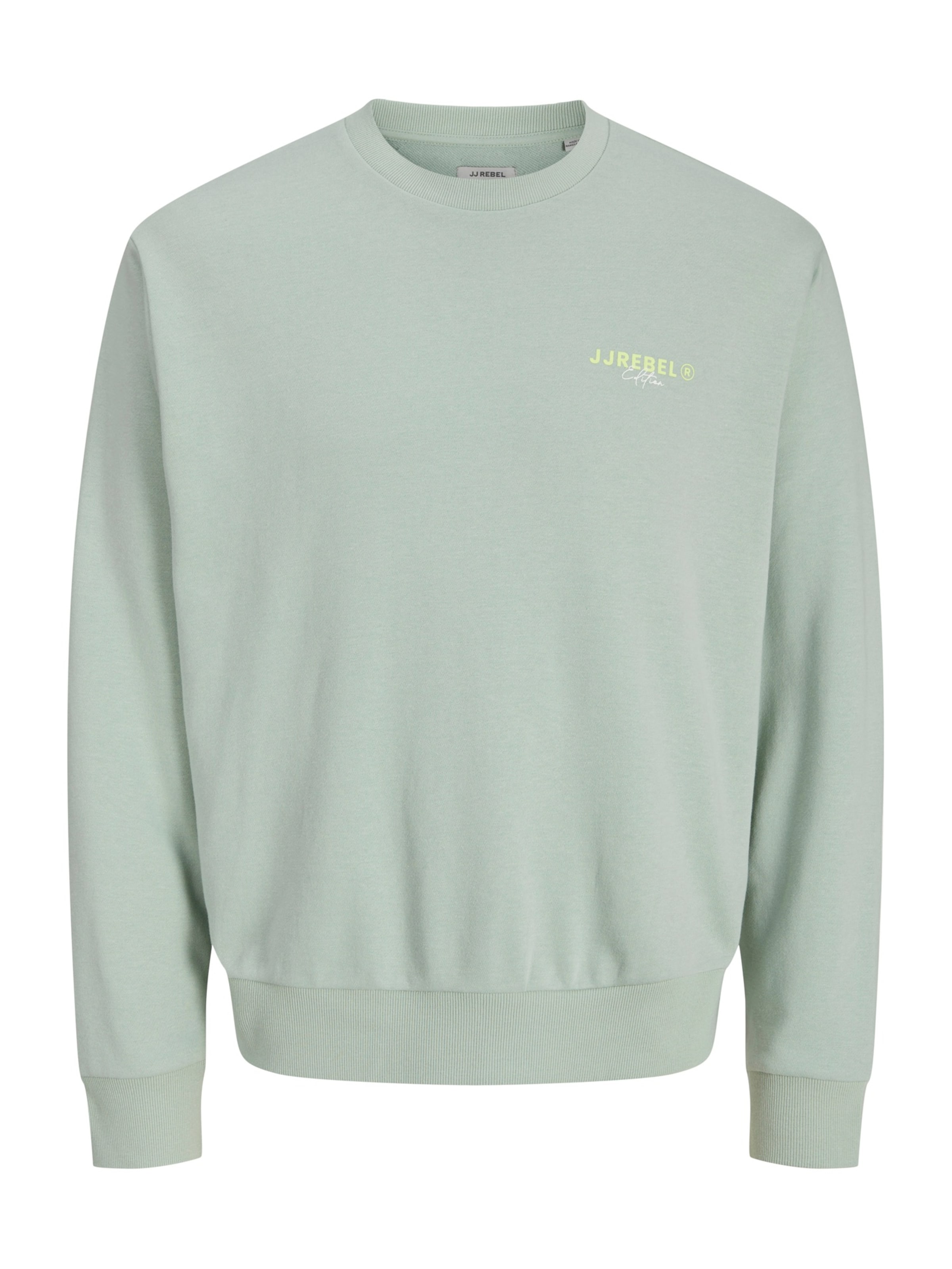 

JJ Rebel Свитшот 'JREBHAYDEN' в светло-сером цвете