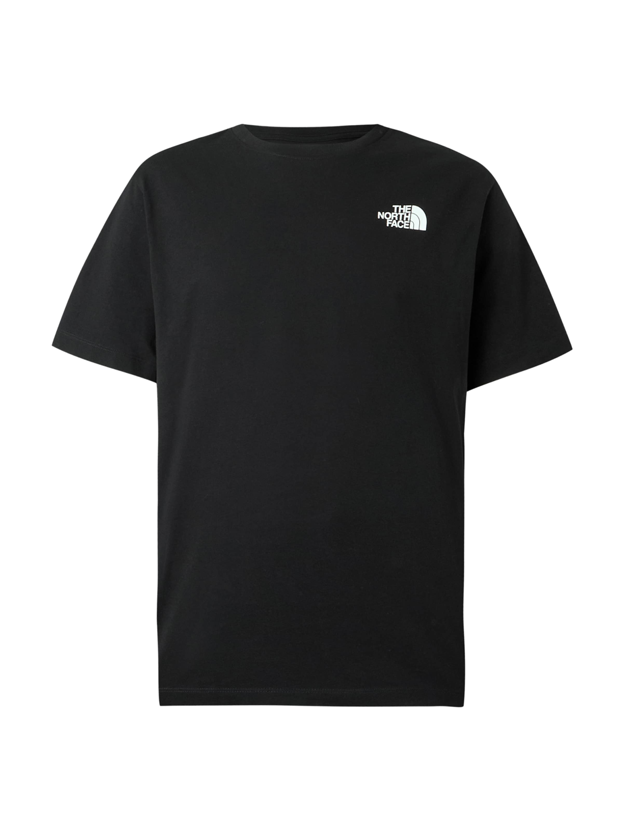 

THE NORTH FACE Футболка Performance 'Mountain' в черном цвете