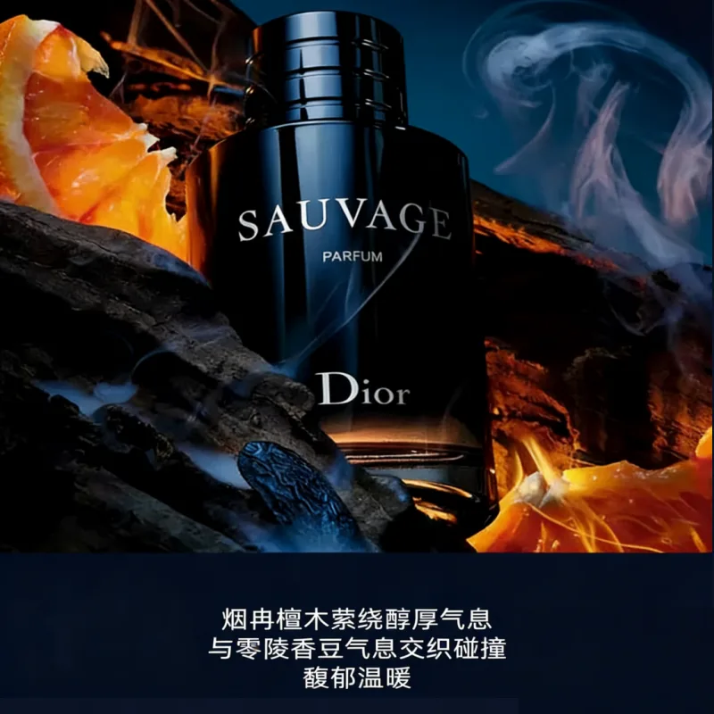 DIOR Wilderness Aroma Version мужской парфюм восточный фужер, 100ml — фото 4
