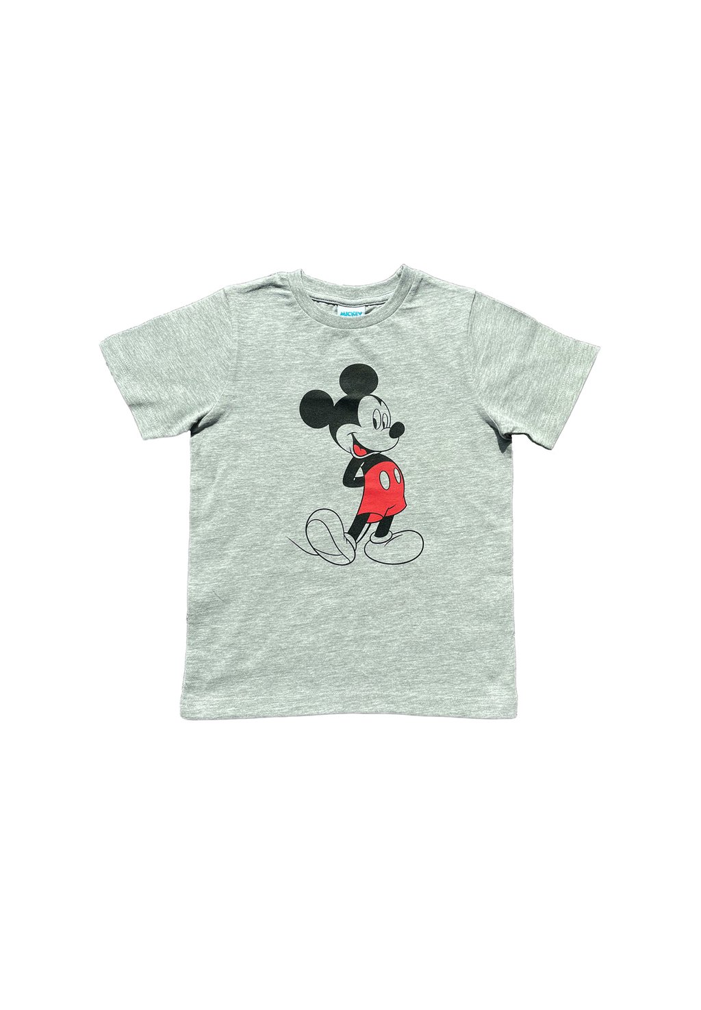 

Футболка с принтом DISNEY MOUSE Mickey & Minnie, серый