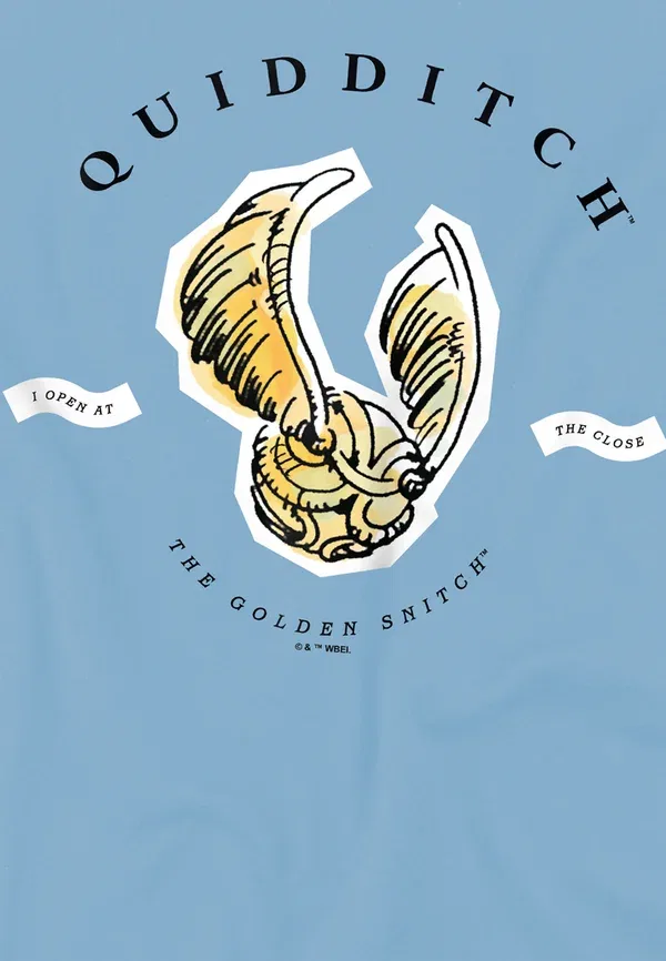 Футболка Harry Potter Golden Snitch I Open at the Close Print T-Shirt Cotton Soul, светло-голубой — фото 3