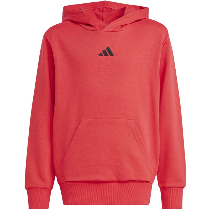 

Детская толстовка с капюшоном Essentials Adidas, мультиколор