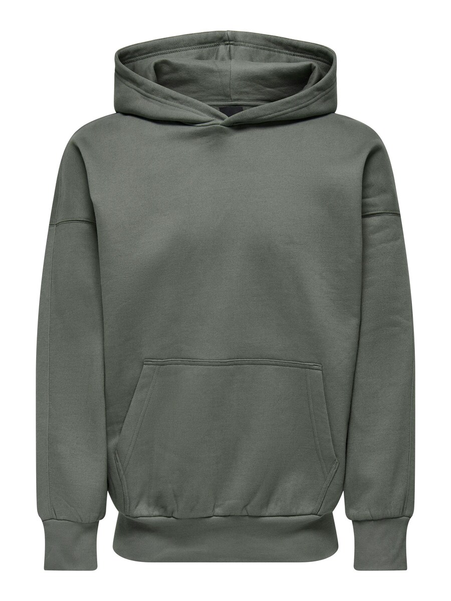 

Толстовка с капюшоном Only & Sons Slim fit Sweatshirt Dan, цвет fir