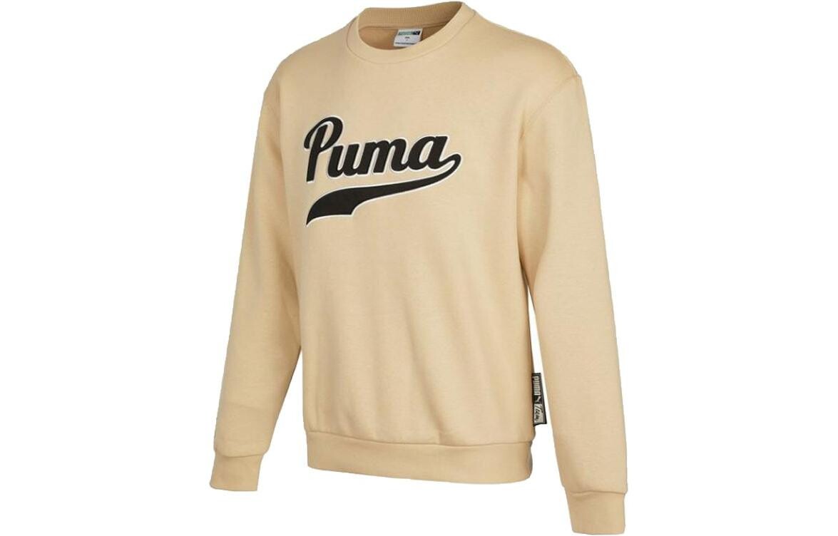 

Мужская толстовка Puma, цвет Beige