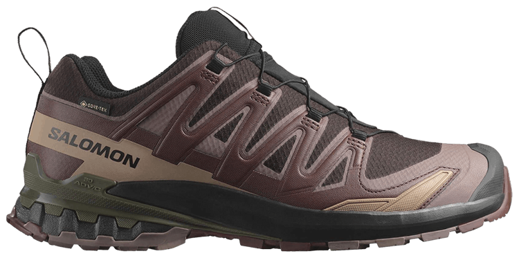 

Кроссовки Salomon XA Pro 3D V9 GORE-TEX 'Rum Raisin', фиолетовый