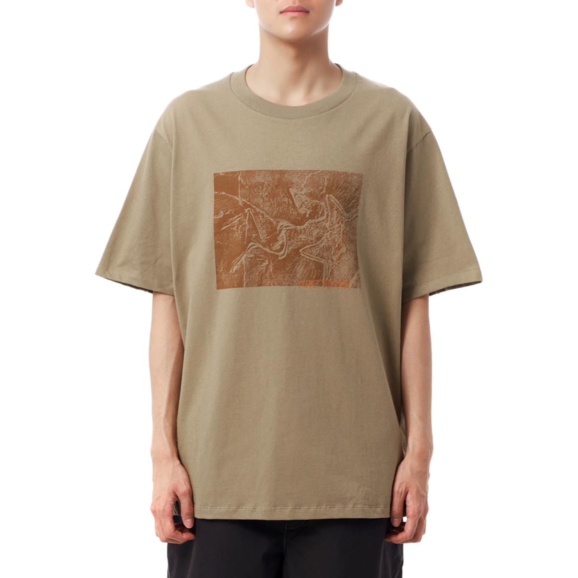 

Футболка Kragg graphic Arcteryx, sandstone коричневый/canvas