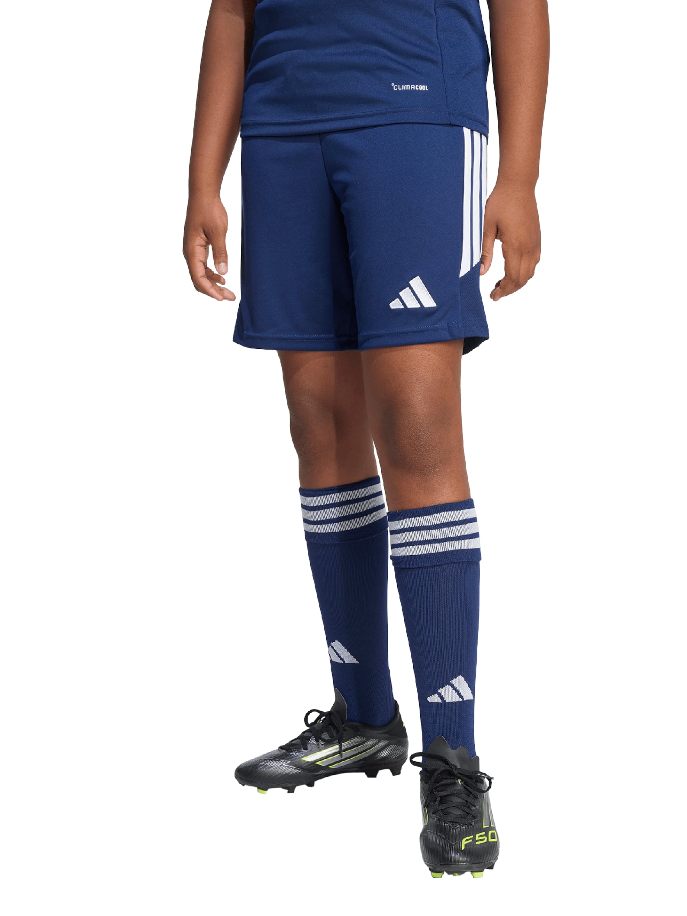 Adidas Performance Шорты для тренировок Regular 'Tiro26 League' в цвете Navy — фото 2