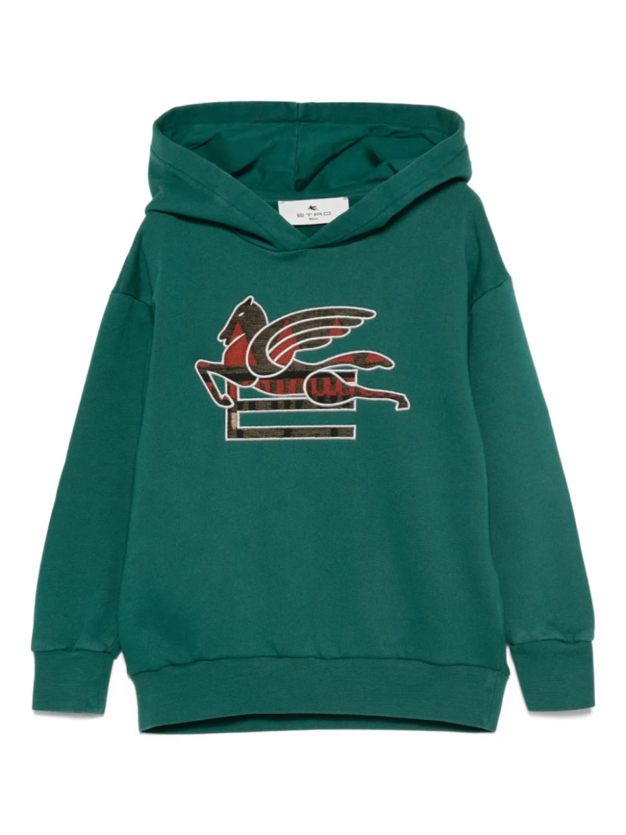 

Толстовка с капюшоном ETRO KIDS Pegaso с вышивкой, зеленый
