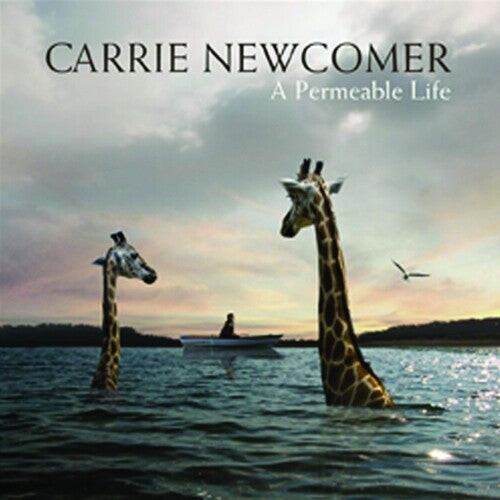 

Виниловая пластинка Newcomer, Carrie: A Permeable Life