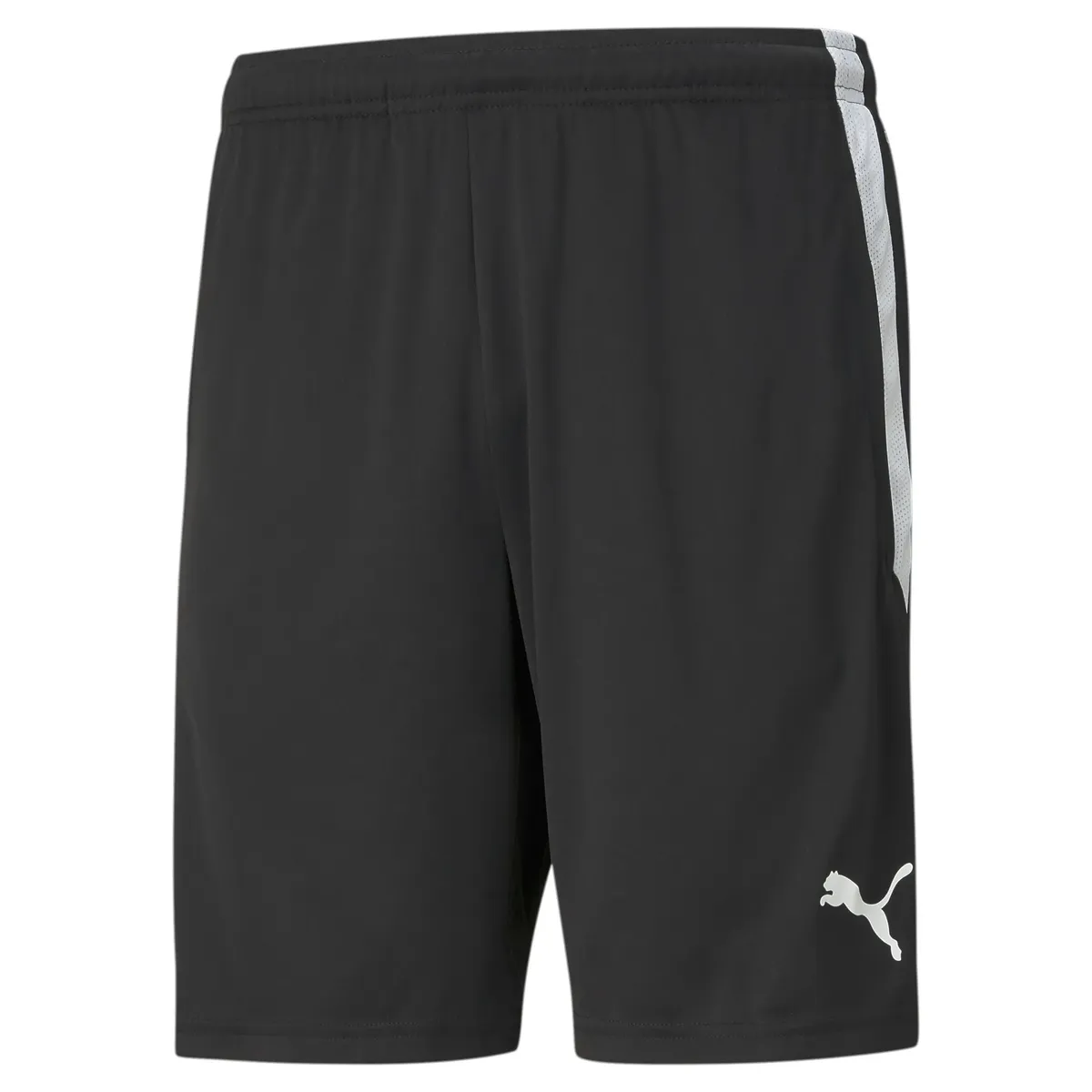 

Тренировочные шорты PUMA "TEAMLIGA TRAINING SHORTS", белый
