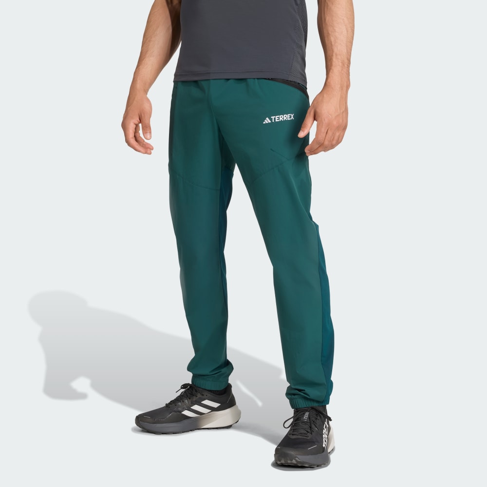 

Спортивные брюки Adidas Terrex Xperior Light Pants, цвет Aurora Ivy