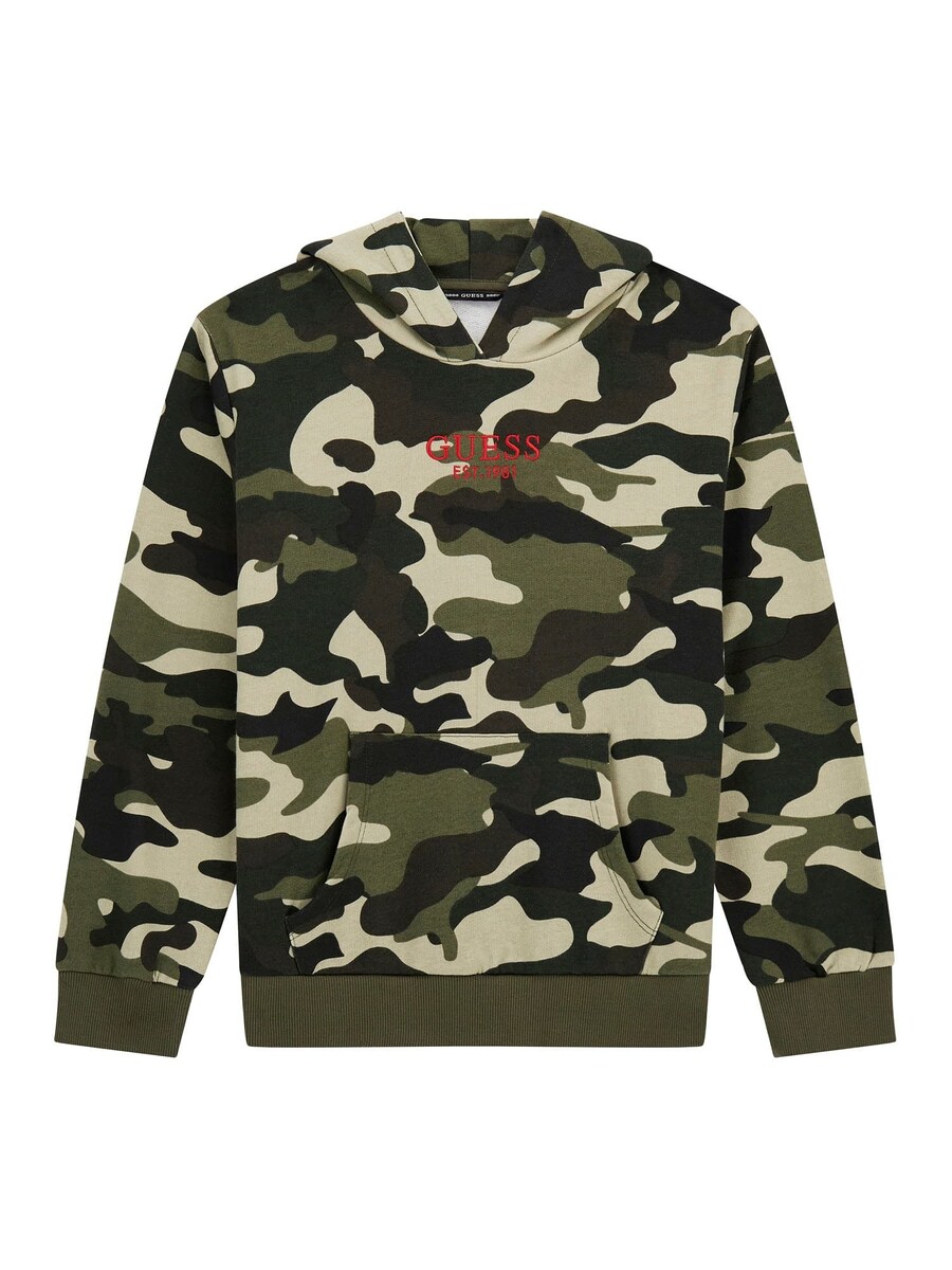 

Толстовка GUESS, цвет Olive/Pastel green