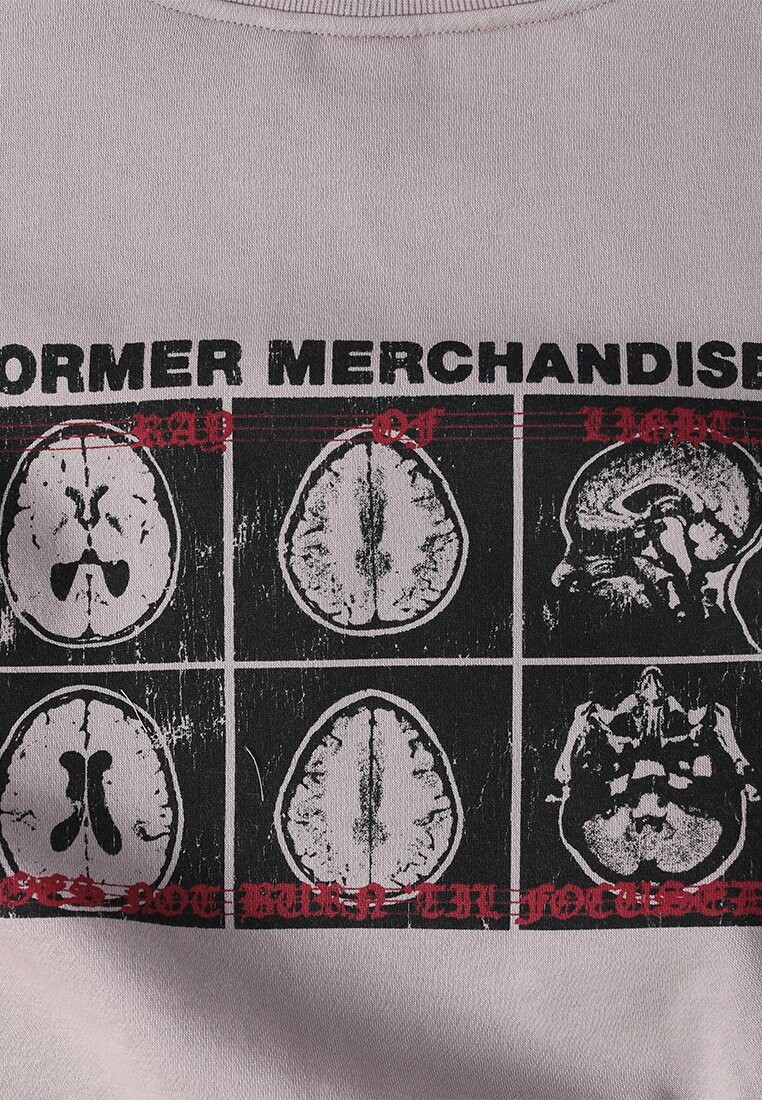 

Толстовка BRAINSCAN CREW Former, серо-коричневый