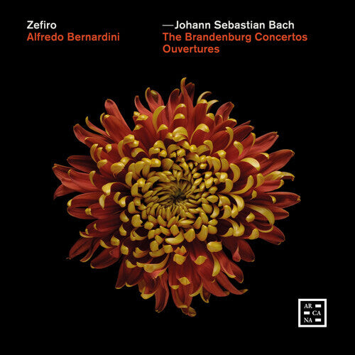 

CD диск Bach, J.S. / Bernardini: Brandenburg Concertos - Ouvertures